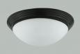 Flush mounts Cal Lighting