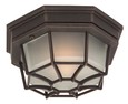 Z390-05 Small Cast Ceiling Mount - Matte Black