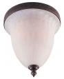 24506-02 Ceiling Fixture