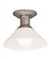 5255-53 Ceiling Fixture