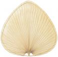 ISP2 18" Blade: Wide Oval Palm - 5