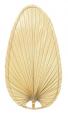 ISP5 18" Blade: Narrow Oval Palm - 5