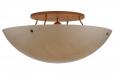 113919 Ceiling Fixture