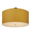 117334 Ceiling Fixture