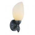 M1691-63 Bronze Wall Light