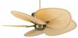 Portable fans Fanimation Fan